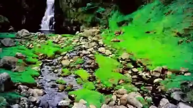 скачать клип Nicki Minaj - Starships