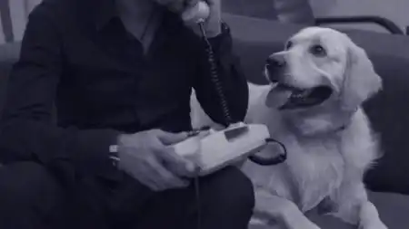 скачать клип Oкеан Ельзи - На лінії вогню