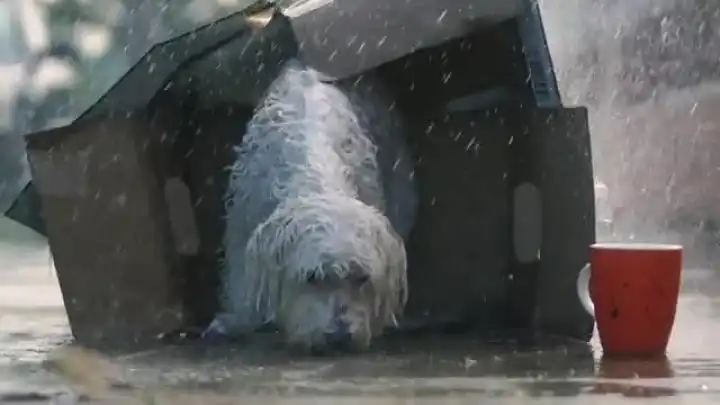 скачать клип Axwell and Shapov - Belong (Axwell and Years Remode Edit)