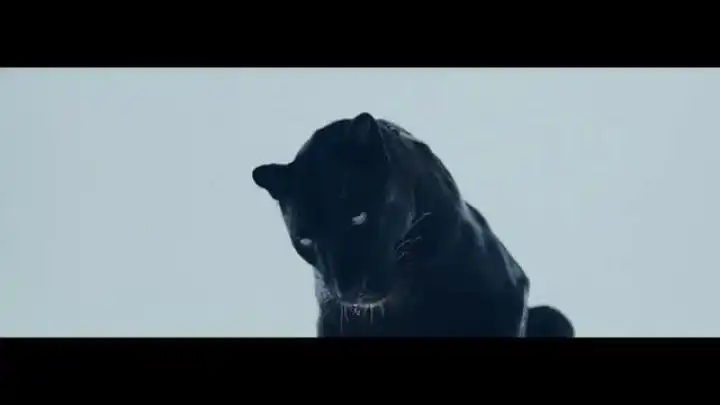 скачать клип The Weeknd - M A N I A