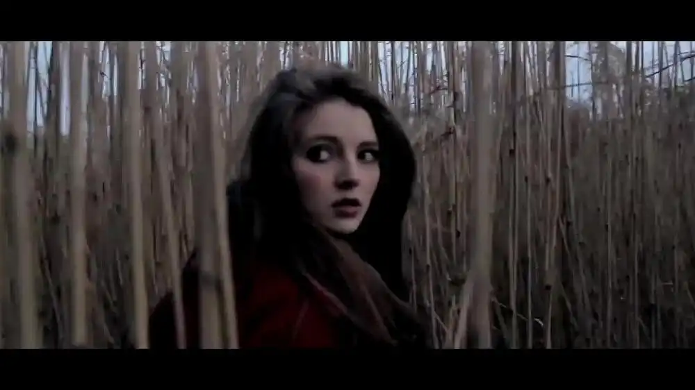 скачать клип Robert Miles - Celebration