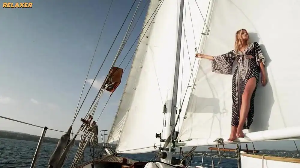 Max Oazo Feat. Cami - Wonderful Life