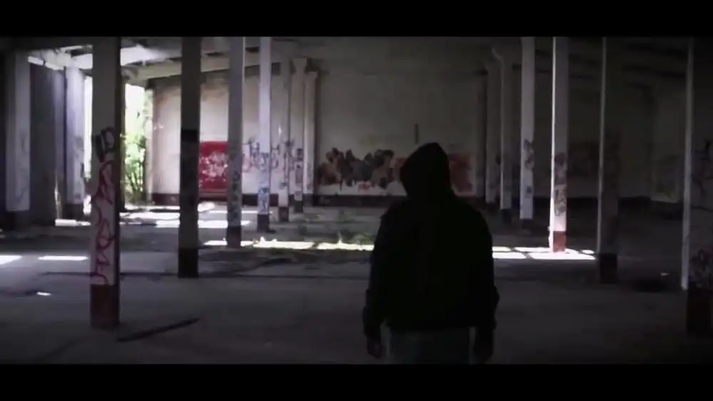 Alan Walker - Come Back