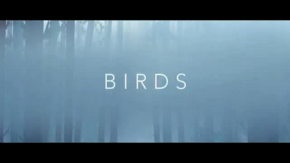скачать клип Imagine Dragons - Birds