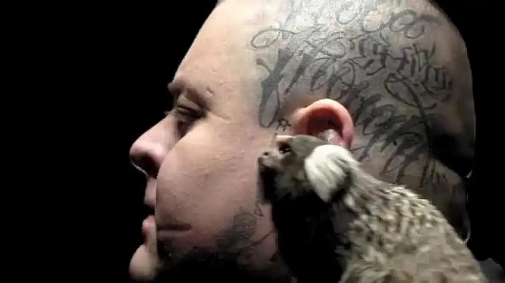 скачать клип Merkules - All Night Long