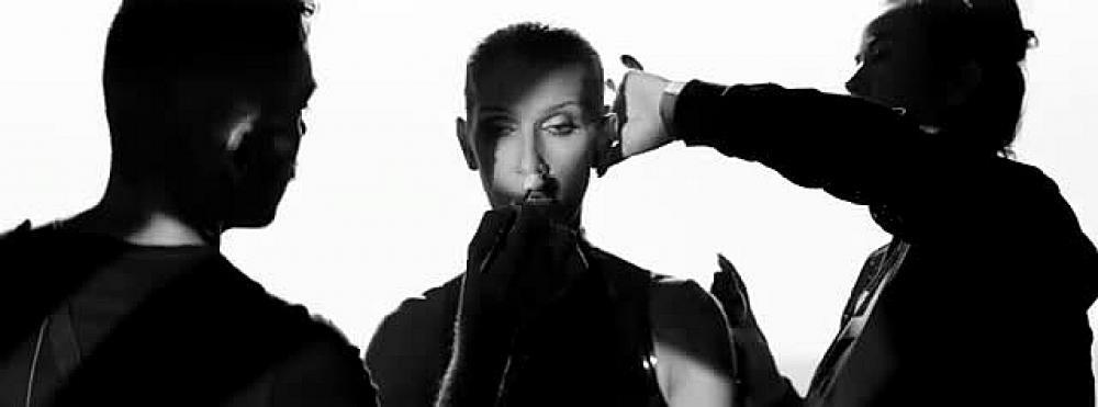 скачать клип Celine Dion - Courage