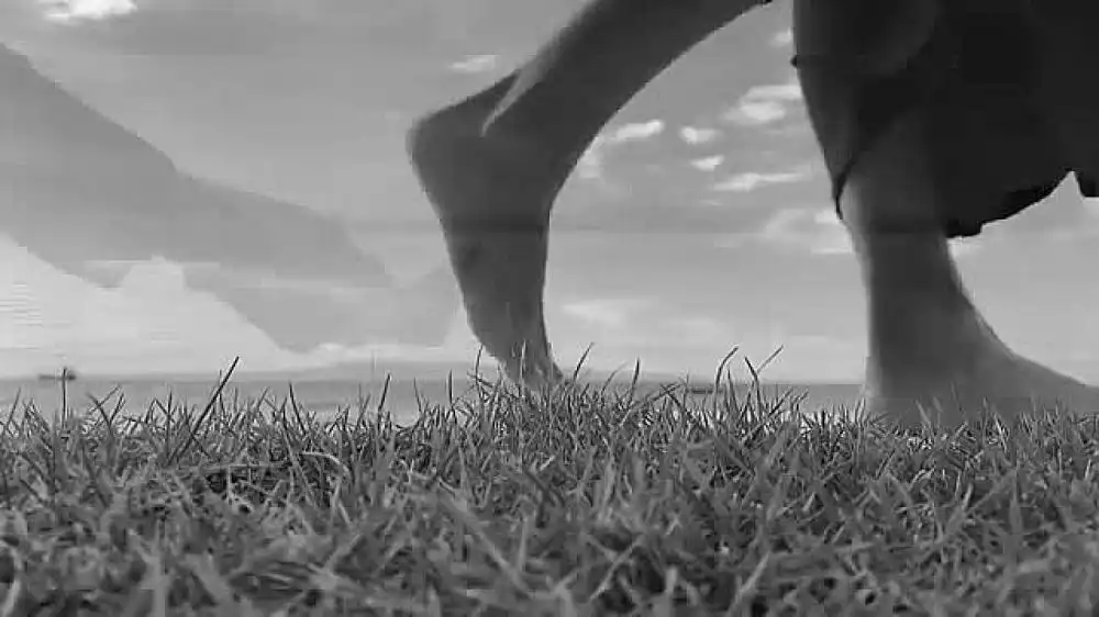 скачать клип Максим Фадеев - Гугуша