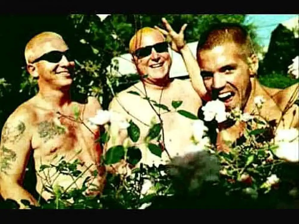 скачать клип Sublime - Smoke Two Joints