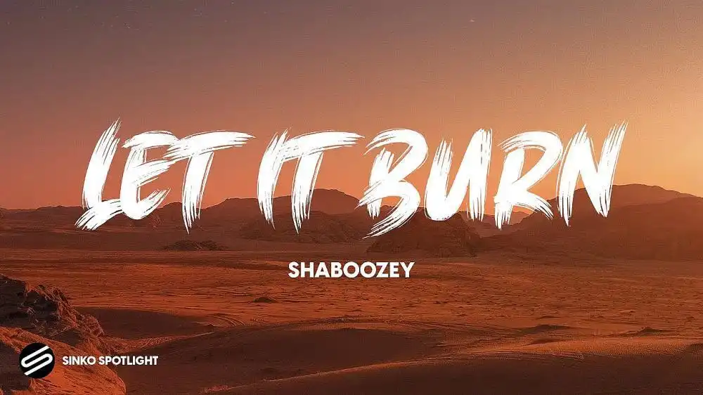 скачать клип Shaboozey - Let It Burn