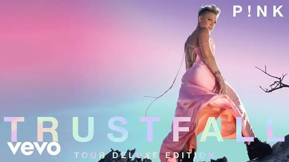 скачать клип PiNK - All Out Of Fight