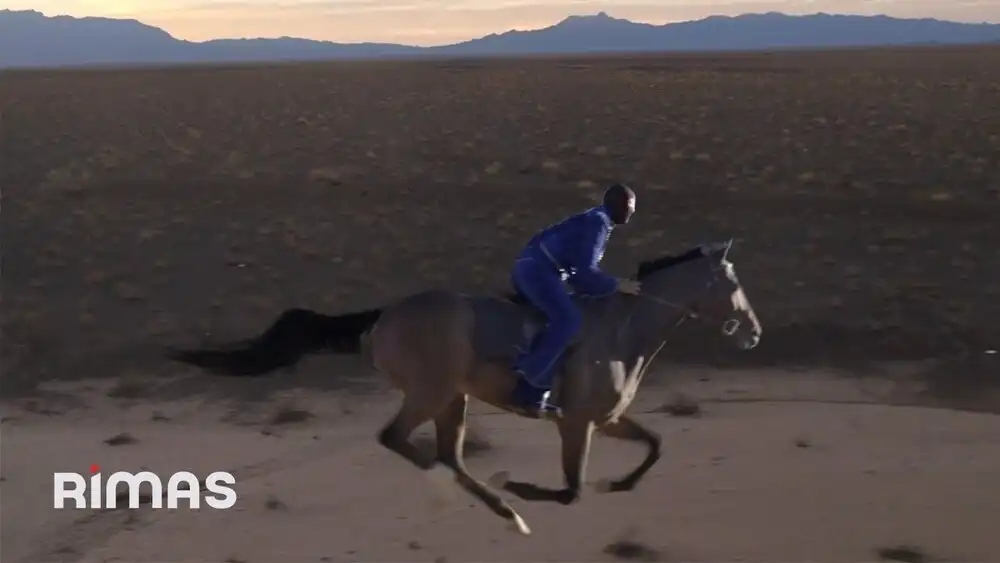 Bad Bunny - LOS PITS