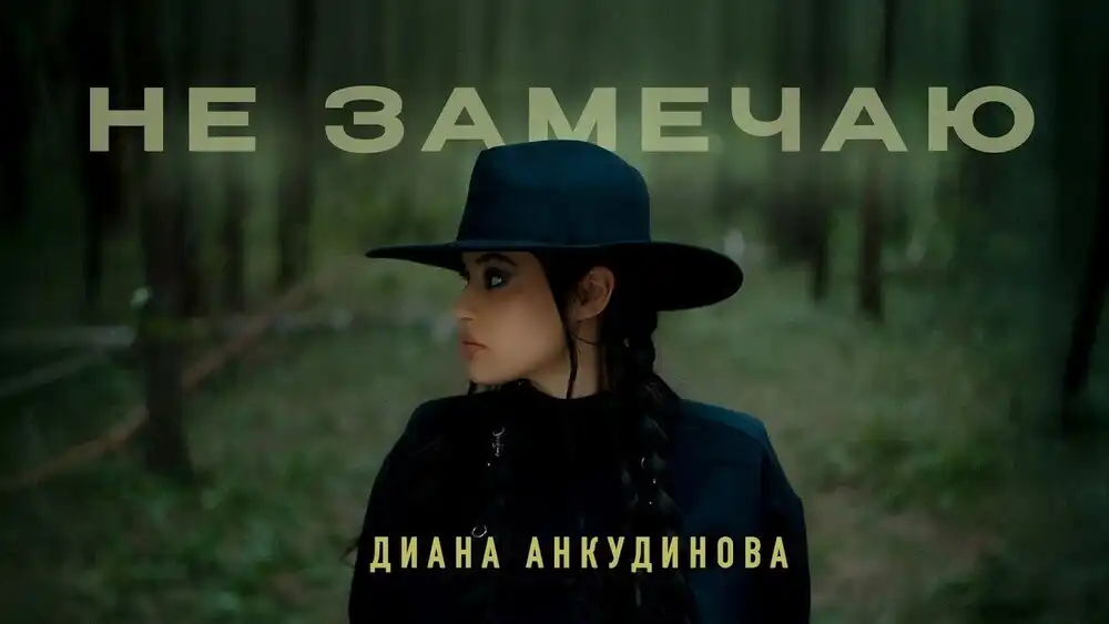 Диана Анкудинова - Не замечаю