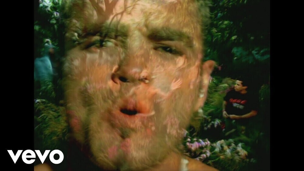 скачать клип Crazy Town - Butterfly