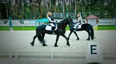 скачать клип Дилайс - Белые розы