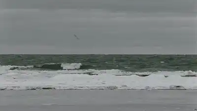 Скачать клип