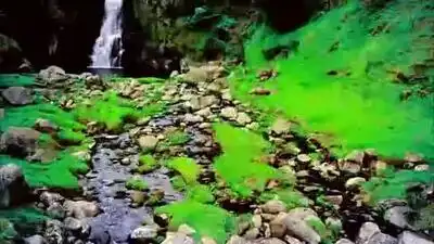 скачать клип Nicki Minaj - Starships