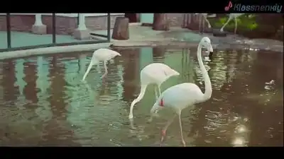 скачать клип Миша ТаланТ - Подойди ко мне