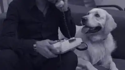 скачать клип Oкеан Ельзи - На лінії вогню