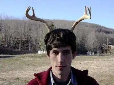 скачать клип Fall Out Boy - Sugar, We are Goin Down