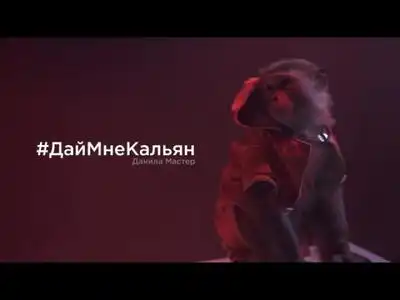 скачать клип Данила Мастер - Дай Мне Кальян