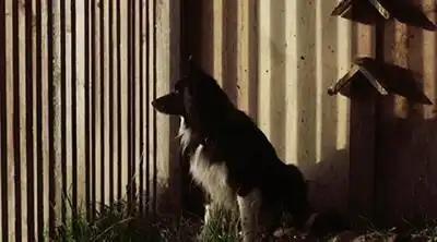 скачать клип Luca Schreiner - Missing feat. Kimberly Anne