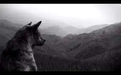 скачать клип The Joy Formidable - Wolfs Law