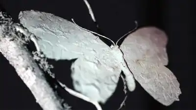 скачать клип James Blake ft. Bon Iver - I Need A Forest Fire