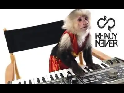 скачать клип Ready Never - Assistant Press Play