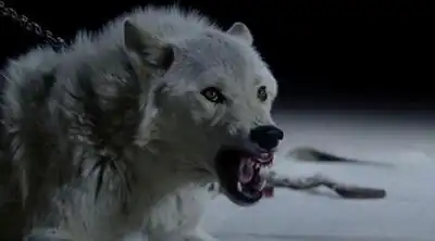 скачать клип The Kills - Siberian Nights