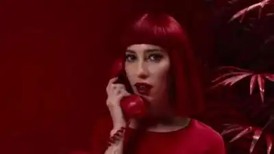 скачать клип The Veronicas - In My Blood