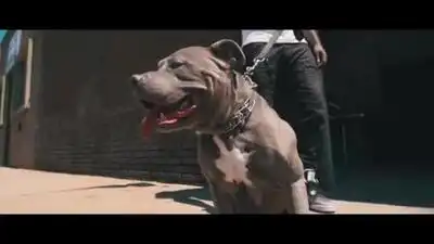 скачать клип Machine Gun Kelly ft. Chief Keef - Young Man