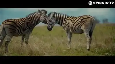 скачать клип Mike Williams - Take Me Down