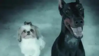 скачать клип Peking Duk ft. Elliphant - Stranger