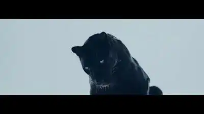 скачать клип The Weeknd - M A N I A