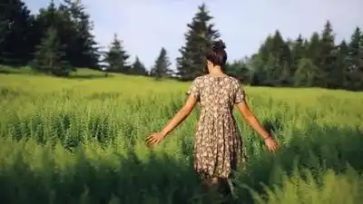 Скачать клип