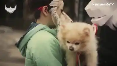 скачать клип Boy Kiss Girl - Bring It On Home