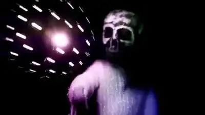 скачать клип Дельфин - Рябиновые птицы