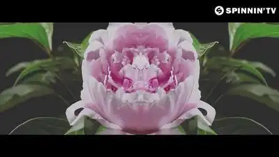 Скачать клип