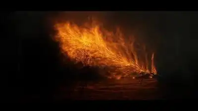 скачать клип Third Party - Veins