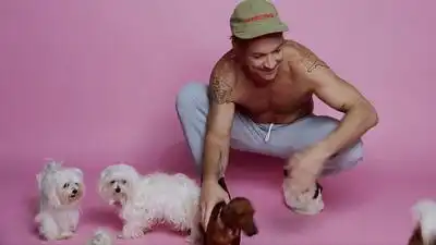 скачать клип Charli XCX - Boys