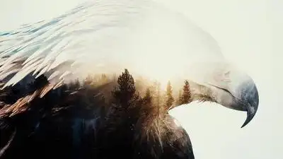 скачать клип Arch Enemy - The Eagle Flies Alone