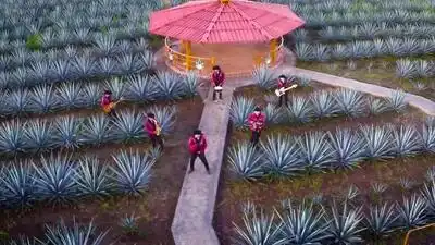 скачать клип La Excelencia Nortena - Con Tu Amor