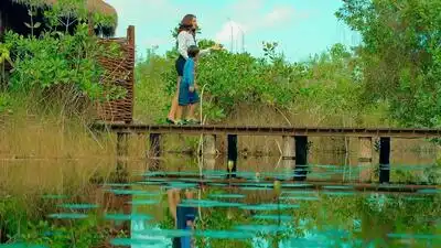 Скачать клип