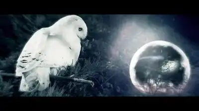 Скачать клип