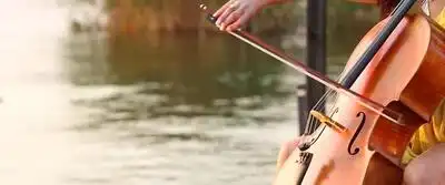 скачать клип Amadeus Electric Quartet - She is The One