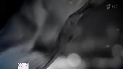 скачать клип Алла Пугачева - Я летала