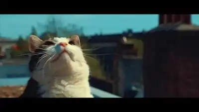 Скачать клип