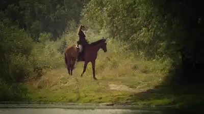 скачать клип Виталий Аксёнов - Золотые Врата