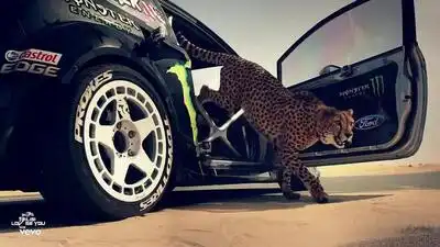 скачать клип 104 and Truwer - Сайфер