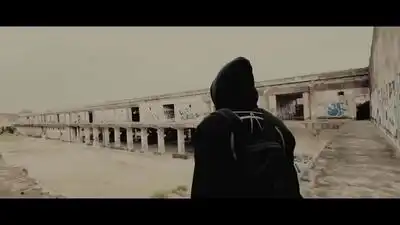 скачать клип Alan Walker - Memories